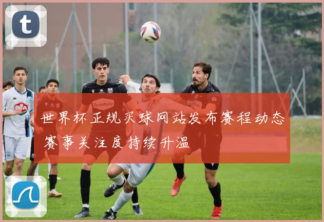 世界杯正规买球网站发布赛程动态 赛事关注度持续升温